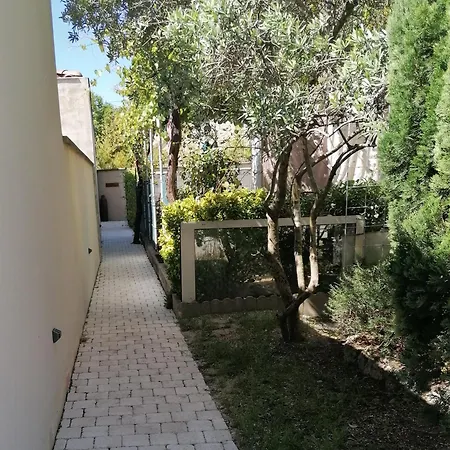 A L'ombre De L'olivier *